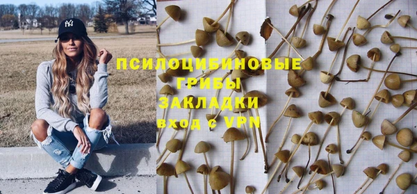 spice Алексин
