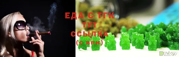тгк Дмитровск