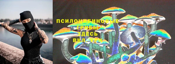 мет Алзамай