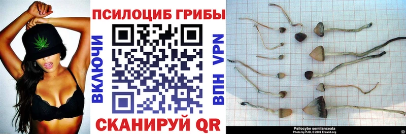 Галлюциногенные грибы GOLDEN TEACHER Юрьев-Польский